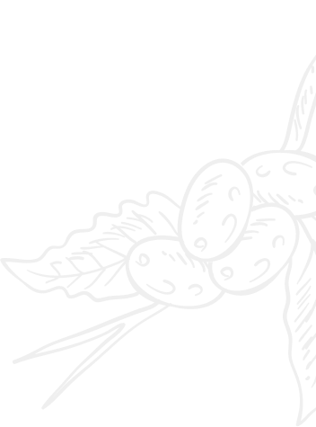 Home page about 2 image