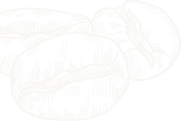 Home page blog 1 image