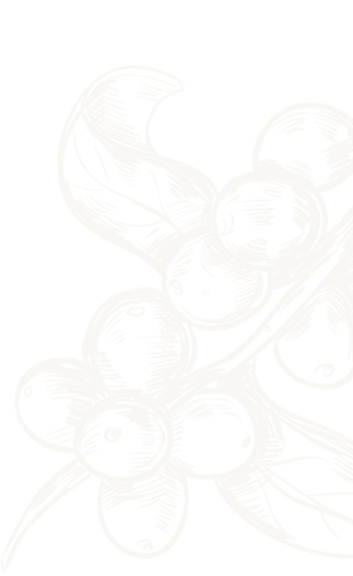 Home page blog 2 image