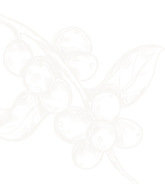 Home page hero shape image