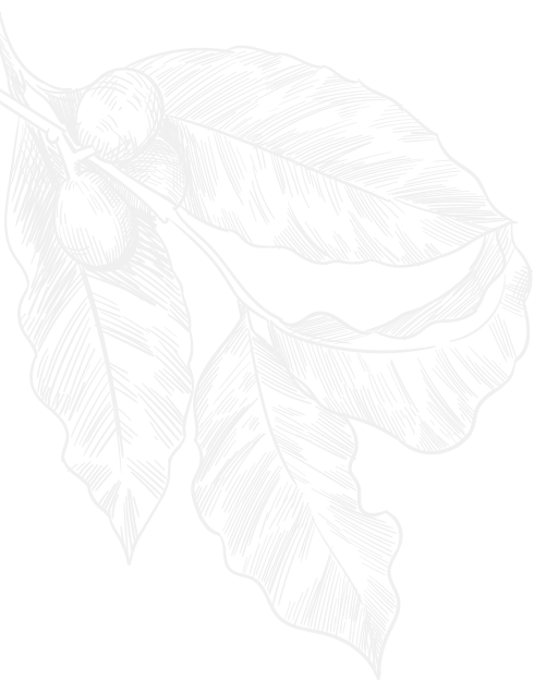 Home page top grade shape image